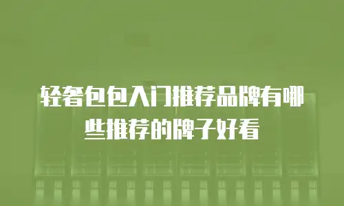 轻奢包包入门推荐品牌有哪些推荐的牌子好看