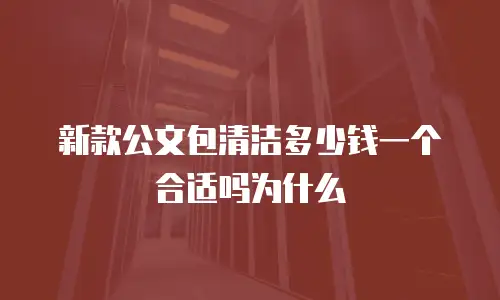 新款公文包清洁多少钱一个合适吗为什么