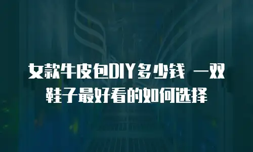 女款牛皮包DIY多少钱 一双鞋子最好看的如何选择