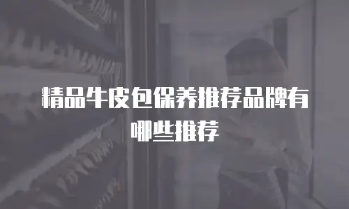 精品牛皮包保养推荐品牌有哪些推荐