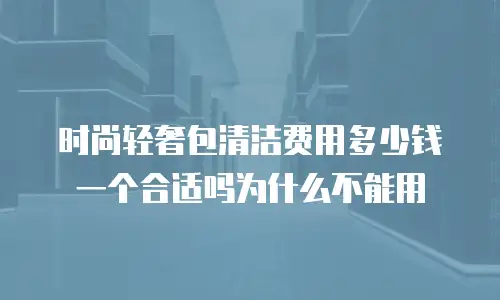 时尚轻奢包清洁费用多少钱一个合适吗为什么不能用