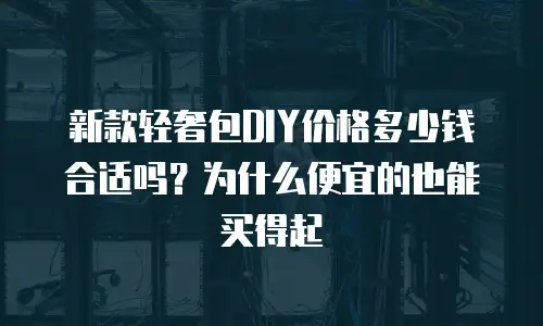 新款轻奢包DIY价格多少钱合适吗？为什么便宜的也能买得起
