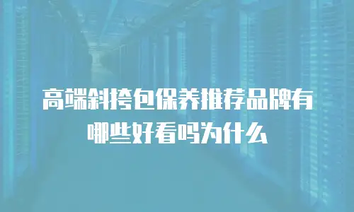 高端斜挎包保养推荐品牌有哪些好看吗为什么