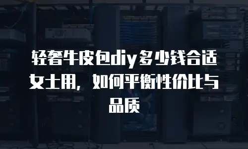 轻奢牛皮包diy多少钱合适女士用，如何平衡性价比与品质