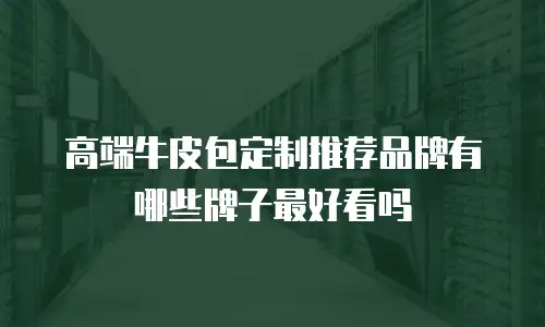 高端牛皮包定制推荐品牌有哪些牌子最好看吗