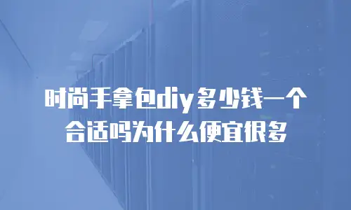 时尚手拿包diy多少钱一个合适吗为什么便宜很多