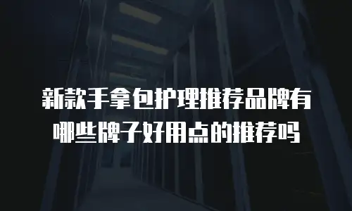 新款手拿包护理推荐品牌有哪些牌子好用点的推荐吗