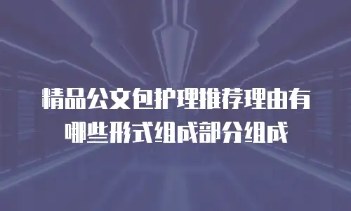 精品公文包护理推荐理由有哪些形式组成部分组成