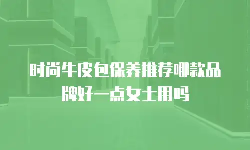 时尚牛皮包保养推荐哪款品牌好一点女士用吗
