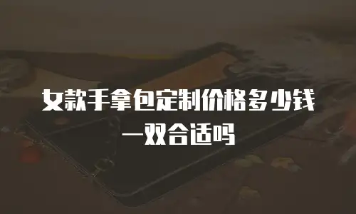 女款手拿包定制价格多少钱一双合适吗