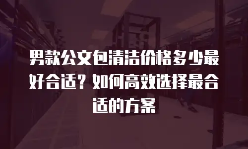 男款公文包清洁价格多少最好合适？如何高效选择最合适的方案