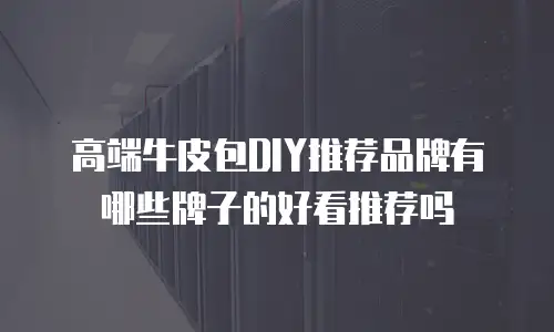 高端牛皮包DIY推荐品牌有哪些牌子的好看推荐吗