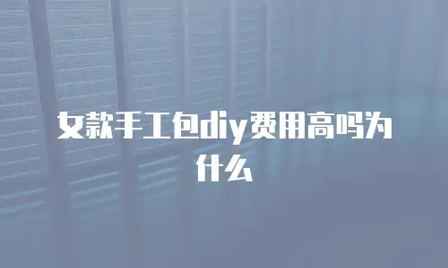 女款手工包diy费用高吗为什么