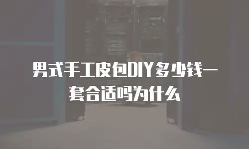 男式手工皮包DIY多少钱一套合适吗为什么
