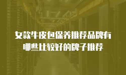 女款牛皮包保养推荐品牌有哪些比较好的牌子推荐