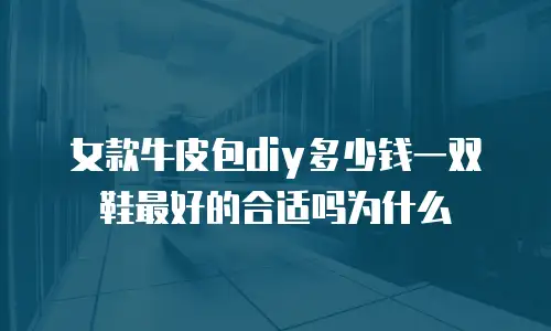 女款牛皮包diy多少钱一双鞋最好的合适吗为什么