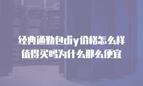 经典通勤包diy价格怎么样值得买吗为什么那么便宜