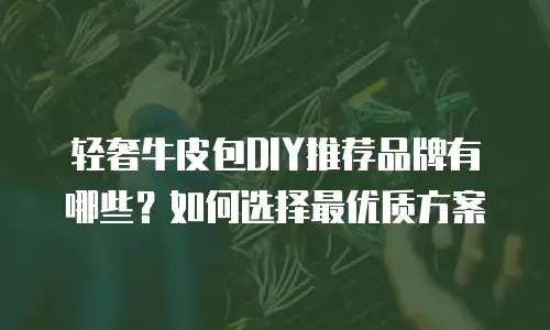 轻奢牛皮包DIY推荐品牌有哪些？如何选择最优质方案