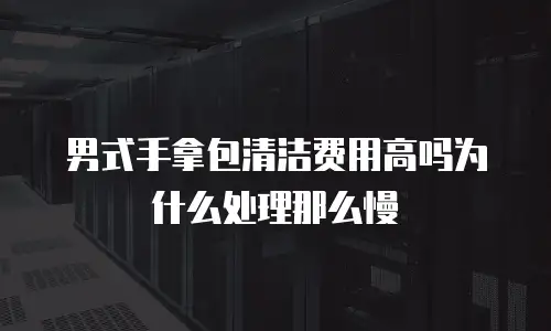 男式手拿包清洁费用高吗为什么处理那么慢