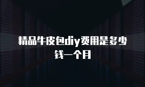 精品牛皮包diy费用是多少钱一个月