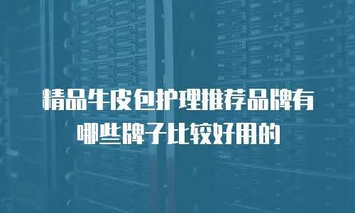 精品牛皮包护理推荐品牌有哪些牌子比较好用的