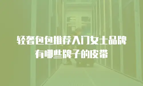 轻奢包包推荐入门女士品牌有哪些牌子的皮带