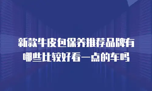 新款牛皮包保养推荐品牌有哪些比较好看一点的车吗