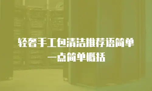轻奢手工包清洁推荐语简单一点简单概括