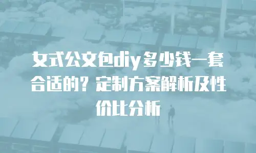 女式公文包diy多少钱一套合适的？定制方案解析及性价比分析