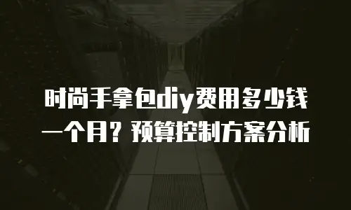 时尚手拿包diy费用多少钱一个月？预算控制方案分析