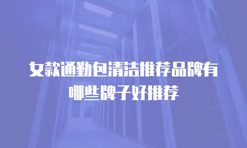 女款通勤包清洁推荐品牌有哪些牌子好推荐