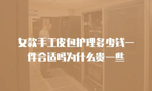 女款手工皮包护理多少钱一件合适吗为什么贵一些