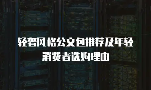 轻奢风格公文包推荐及年轻消费者选购理由