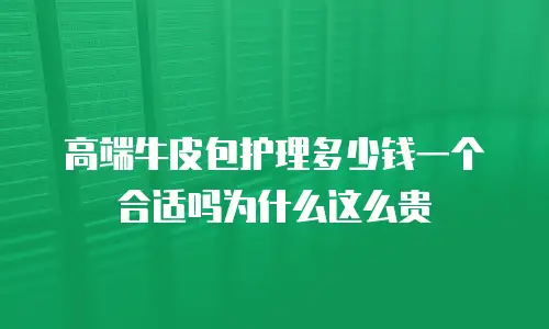 高端牛皮包护理多少钱一个合适吗为什么这么贵