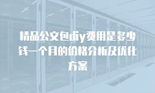 精品公文包diy费用是多少钱一个月的价格分析及优化方案