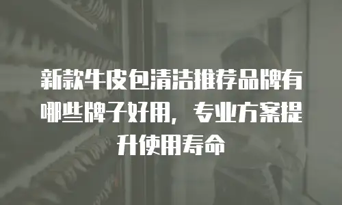 新款牛皮包清洁推荐品牌有哪些牌子好用，专业方案提升使用寿命