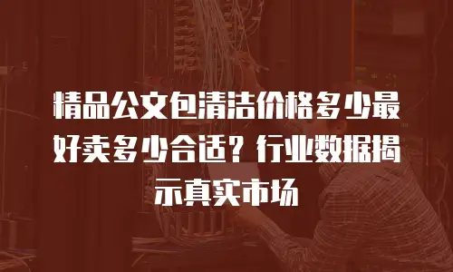 精品公文包清洁价格多少最好卖多少合适？行业数据揭示真实市场