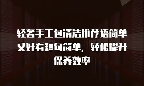 轻奢手工包清洁推荐语简单又好看短句简单，轻松提升保养效率