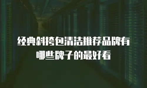 经典斜挎包清洁推荐品牌有哪些牌子的最好看