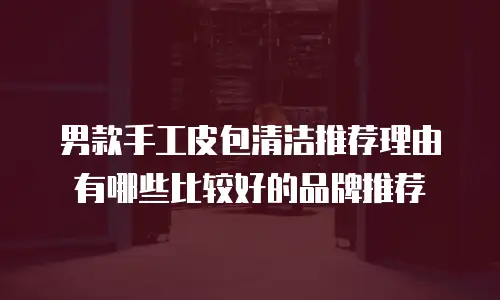 男款手工皮包清洁推荐理由有哪些比较好的品牌推荐