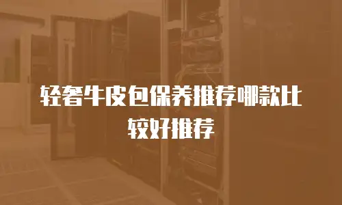 轻奢牛皮包保养推荐哪款比较好推荐