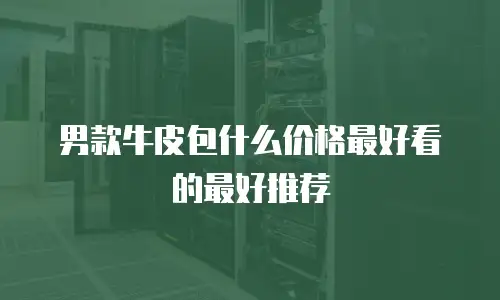 男款牛皮包什么价格最好看的最好推荐