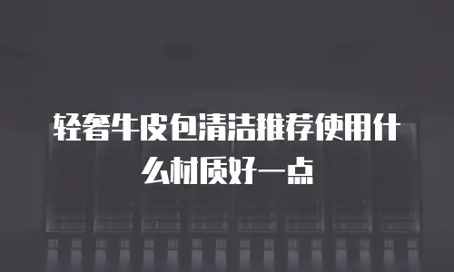 轻奢牛皮包清洁推荐使用什么材质好一点