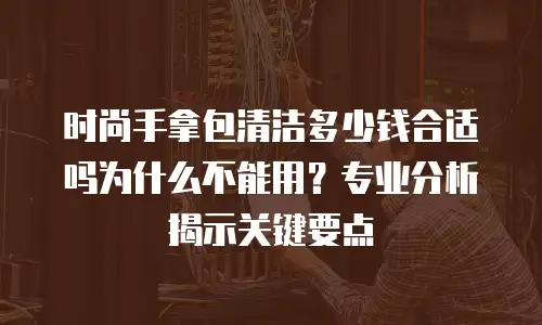 时尚手拿包清洁多少钱合适吗为什么不能用？专业分析揭示关键要点