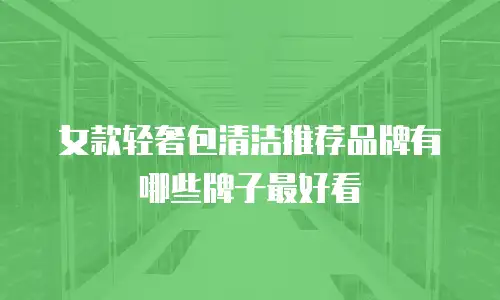 女款轻奢包清洁推荐品牌有哪些牌子最好看
