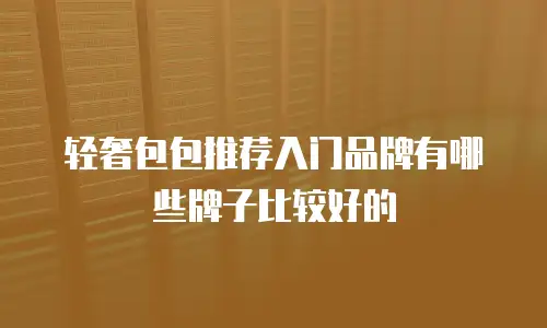 轻奢包包推荐入门品牌有哪些牌子比较好的