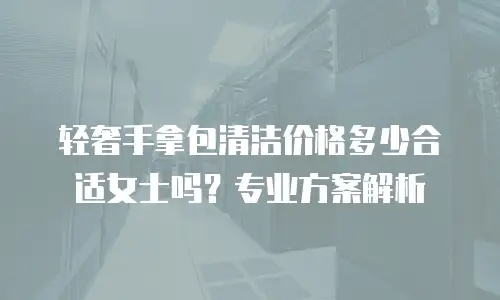 轻奢手拿包清洁价格多少合适女士吗？专业方案解析