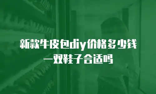新款牛皮包diy价格多少钱 一双鞋子合适吗