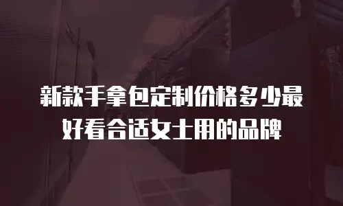新款手拿包定制价格多少最好看合适女士用的品牌