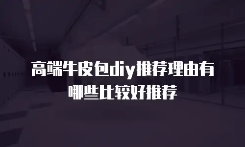 高端牛皮包diy推荐理由有哪些比较好推荐